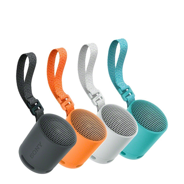 SONY SRS-XB100 Portable Wireless Speaker | XB100 | Bluetooth | 16 Hours | EXTRA BASS