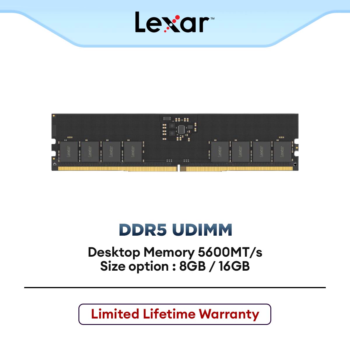 Lexar DDR5 UDIMM Desktop Memory 5600MT/s Desktop RAM (8GB / 16GB) – ALL ...