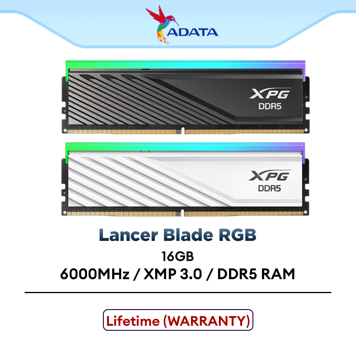 Adata XPG Lancer Blade RGB DDR5 Memory PC Ram 6000Mhz AMD EXPO XMP 3.0 ...